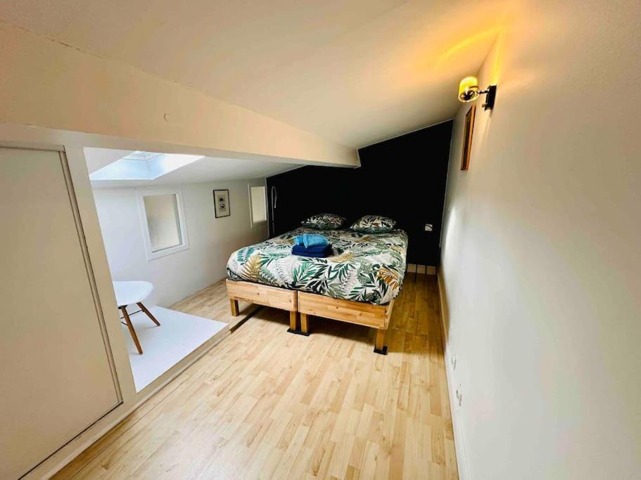 Grand T3 Standing En Hypercentre Appartement *
