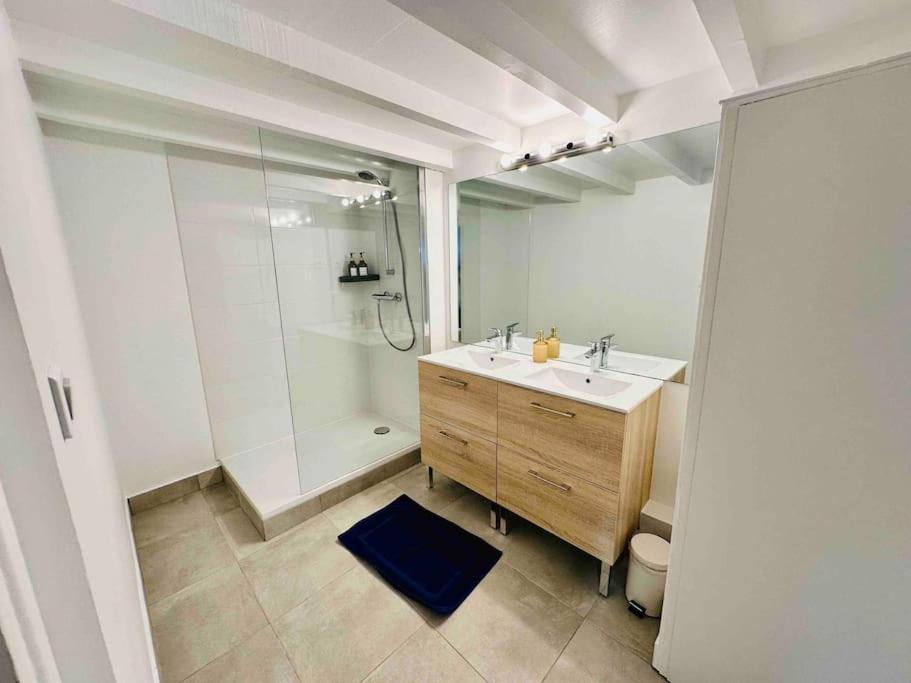 Grand T3 Standing En Hypercentre Apartment Toulouse